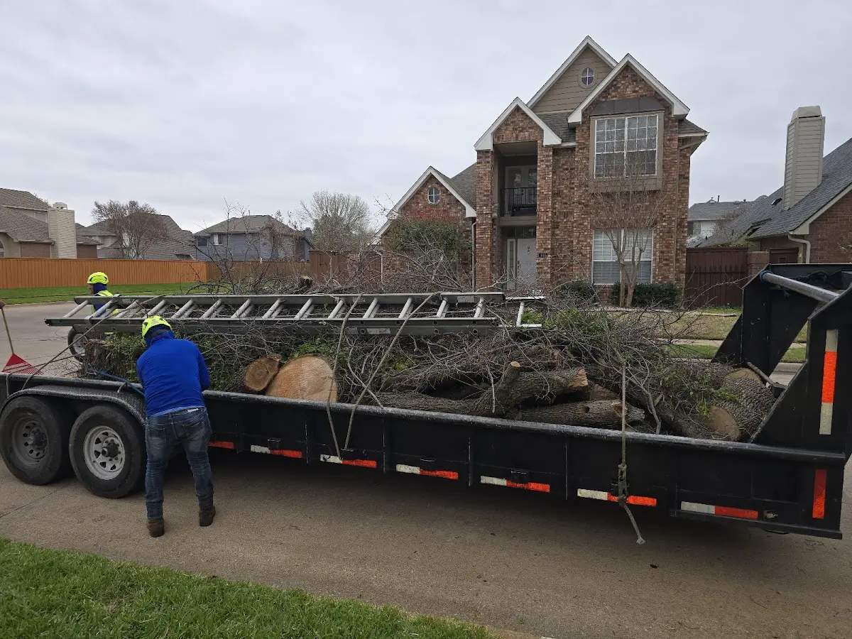 Expert Lot Clearing with proper safety equipment in Cornland